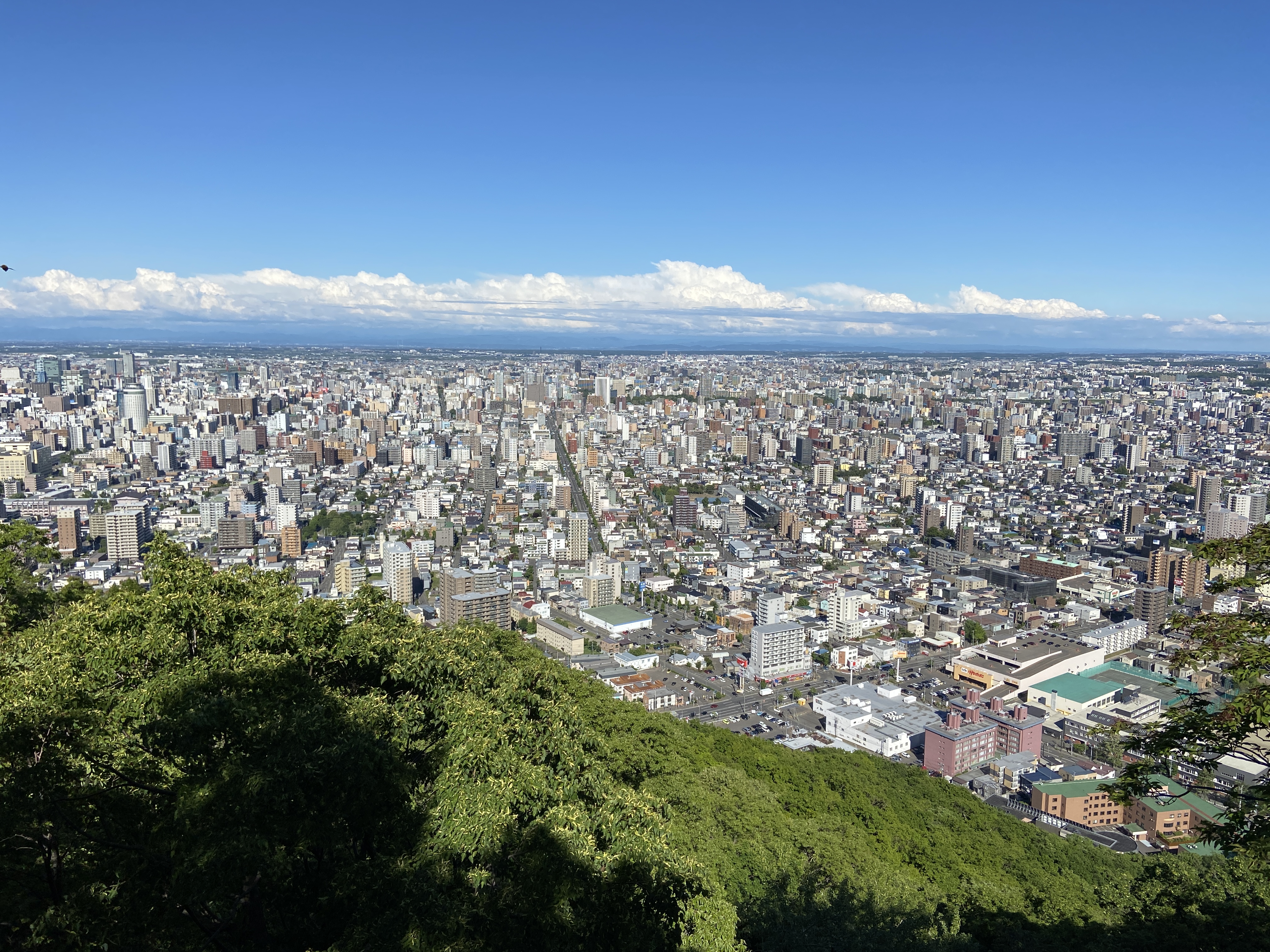 円山からの景色