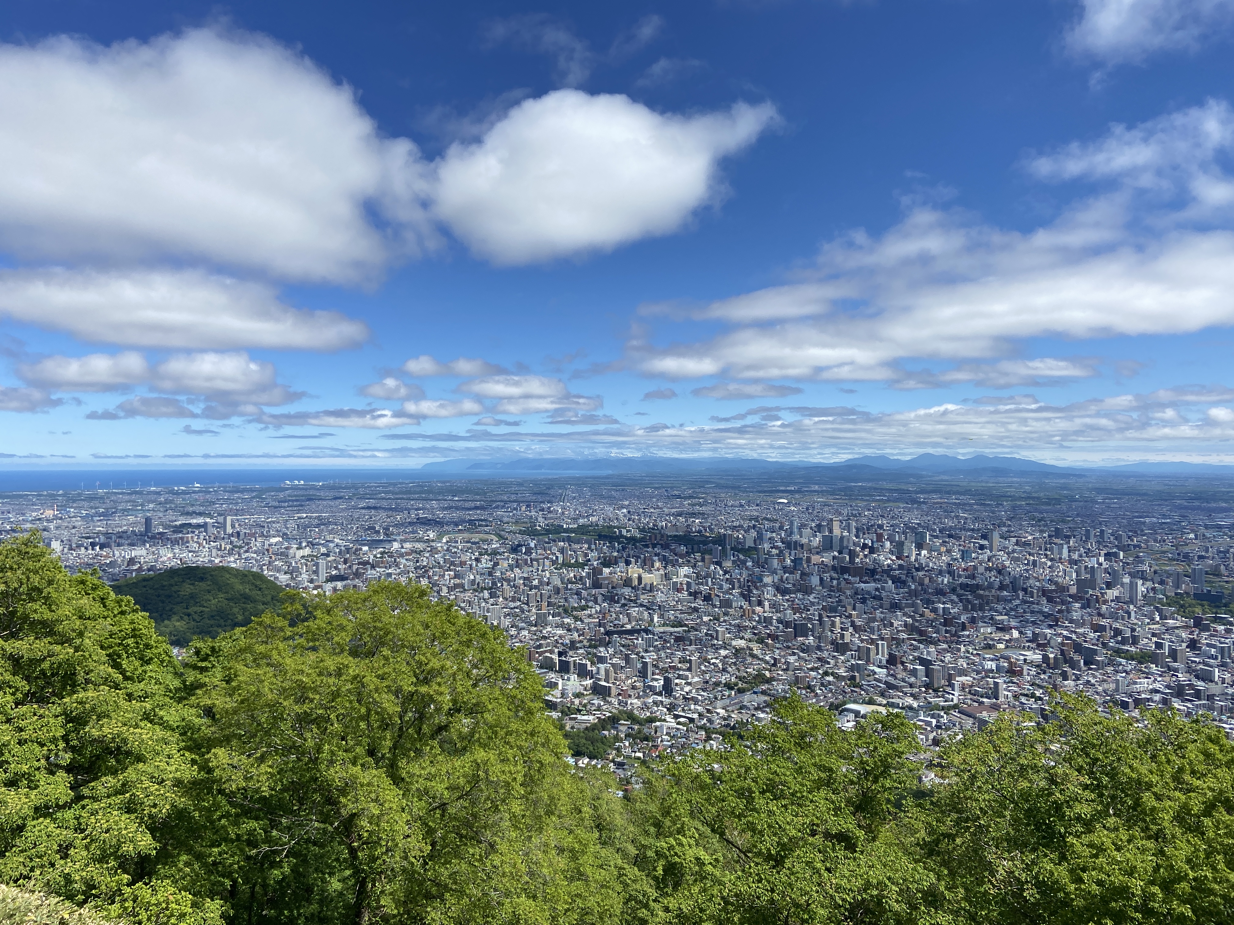藻岩山からの景色